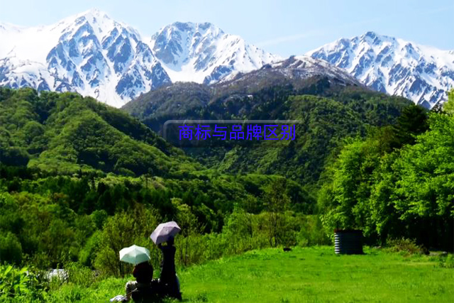 商標與品牌之間的區別有哪些?