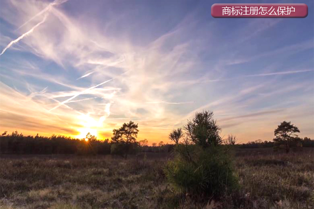 注冊商標應該怎么做保護?