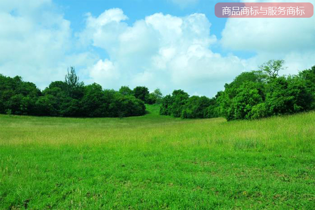 商品商標與服務商標有哪些不同的作用?