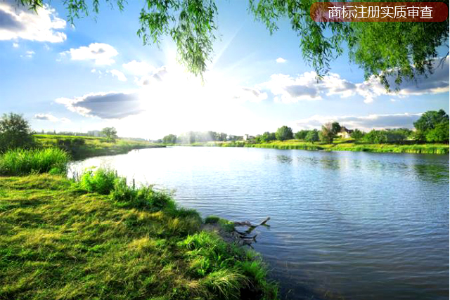 商標注冊進入實質審查階段后都查哪些內容?