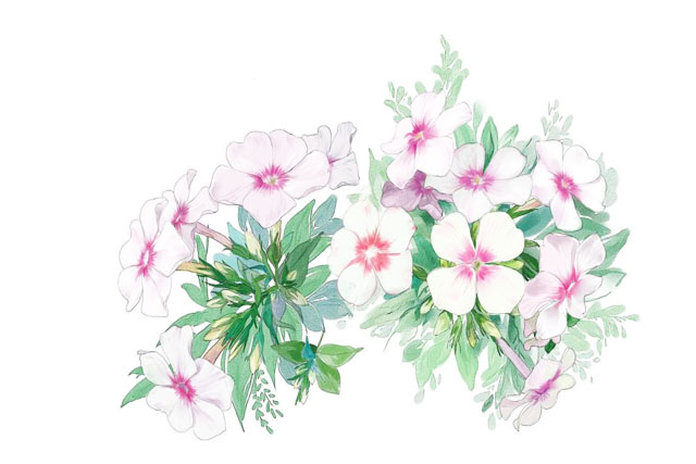 1690161350758657.jpg 商標注冊后可以tm是啥意思